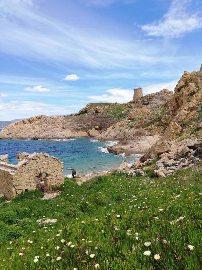 Joli Appartement En Corse Avec Piscine Belgodère Exterior foto